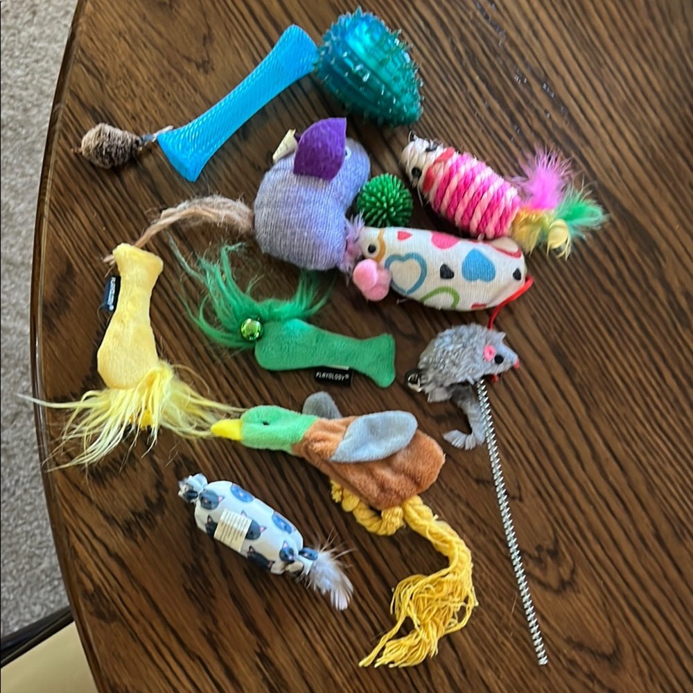 Colorful Cat Toy Set - Picture 1 of 9